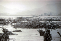Bardsdale Bridge after the St. Francis Dam Disaster thumbnail