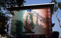 Untitled (Virgin of Guadalupe) thumbnail
