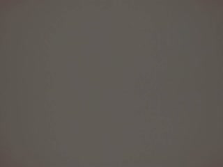Poly Royal 1941 thumbnail