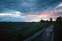 Tractor plowing and irrigation ditch 013 thumbnail