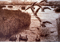 Ohlone (Oh-lone-ay) Hunting Wetland Birds thumbnail