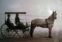 Horse and Surrey on the Beach thumbnail