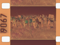 Raye's group on mountains (camera roll 76) thumbnail