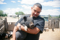 Kaber farm, Crops in the field 066 thumbnail