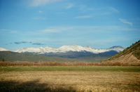 Landscapes and cattle 027 thumbnail