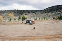 San Luis Valley farm 011 thumbnail
