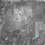 1942 ABI-10B-31 [Fresno County, California, aerial survey, 1942] thumbnail