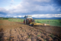 Kaber farm, Plowing and planting winter wheat 022 thumbnail