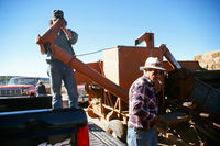 Kaber farm, Tractor driving 029 thumbnail