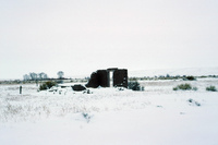 Rio Grande National Forest 024 thumbnail