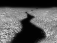 Marsh And Fog thumbnail