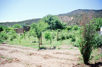 Kaber farm, Volunteers and animals 011 thumbnail