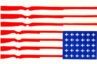 US Arms Flag thumbnail