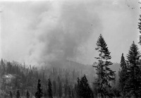 Forest fire #5 thumbnail