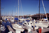 Monterey Harbor thumbnail