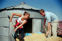 Kaber farm, Grain harvest 020 thumbnail