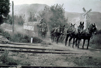 Beet Wagon on Briggs Road, Santa Paula, CA (on the way to Haines Pump) thumbnail