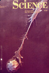 Cell-Cell Communication thumbnail