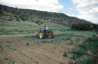 Tractor plowing and irrigation ditch 021 thumbnail