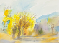 Bungalow lane & San Carlos thumbnail