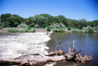 Montoya farm, Woodpile and the Rio Grande 012 thumbnail