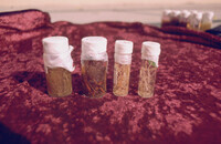 Pt. Mugu Wetlands thumbnail