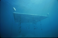 Plot 3 screen with 9 Stipes thumbnail