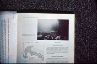 BFC Cove South thumbnail