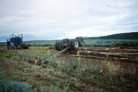 Kaber farm, Logging 005 thumbnail
