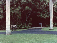 Entrance to Gumbo Limbo Trail: Everglades National Park thumbnail