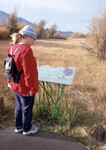 Taylor Meadow thumbnail