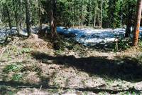 Logging 009 thumbnail