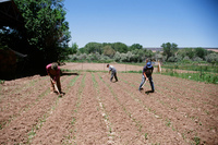 Montoya farm 017 thumbnail