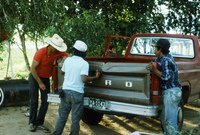 Picking and selling peas 018 thumbnail