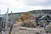 River and hay baling 028 thumbnail