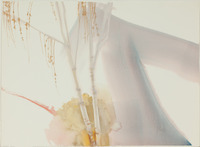 Winterberg's Birches & Winter thumbnail