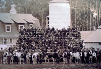 Calf Club Meeting Berylwood Dairy ca. 1919-1920 thumbnail