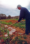 Gallegos farm, Irrigating crops and the Colorado Historical Society 004 thumbnail