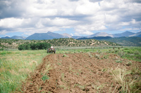 Kaber farm, Plowing 013 thumbnail