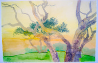 61 Platt Park, Morse Dr., PG thumbnail