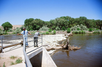 Montoya farm, Woodpile and the Rio Grande 014 thumbnail