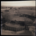 [Two circular pens] thumbnail