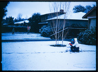 Pickford and Winterberg homes thumbnail