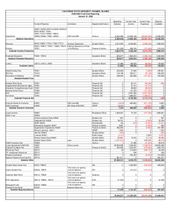 2009 January Trust fund report - summary thumbnail