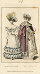 Evening and Opera Dress thumbnail