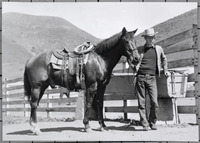 Jim Black, Nephew of Will Rogers, at the Horse Unit in 1939 thumbnail