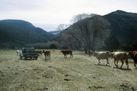 Colorado farm 034 thumbnail