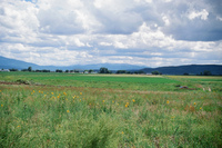 Kaber farm, Plowing 033 thumbnail
