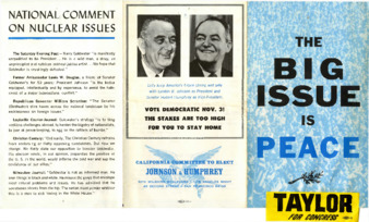 The Big Issue is Peace Taylor for Congress thumbnail