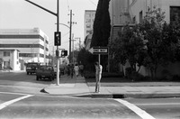 People participating in the 1986 y-Walk thumbnail